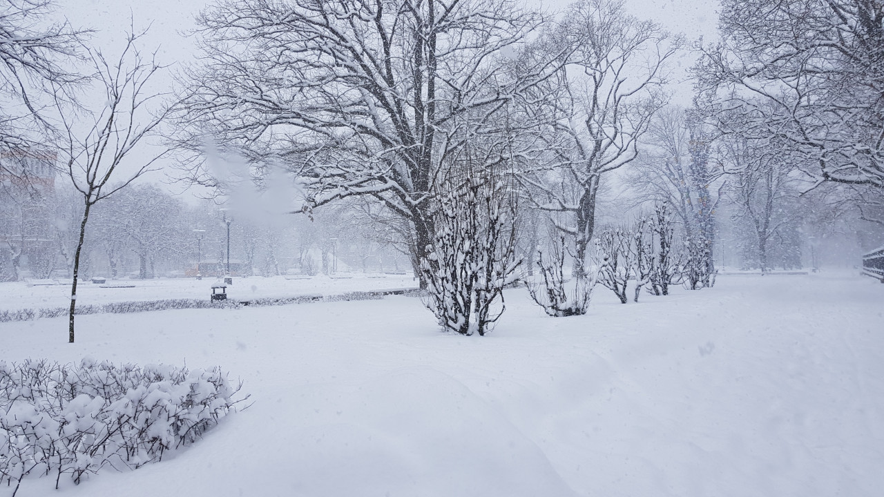 В Латвии ударят морозы до −30, но к выходным ожидается снег и ослабление холода