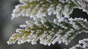 Зимняя ночь в Латвии и предупреждение синоптиков о сильном морозе до -31°C в центральных и восточных районах