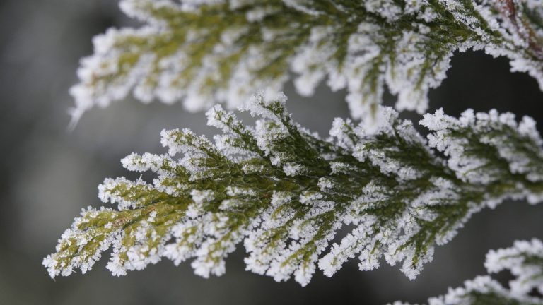 Зимняя ночь в Латвии и предупреждение синоптиков о сильном морозе до -31°C в центральных и восточных районах