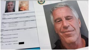 Естественный отбор или равнодушие: рижане самостоятельно спасают водоплавающих птиц из ледяного плена в Болдерае