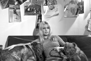 Близнецы, Скорпионы, Раки и Стрельцы в гороскопе Анжелы Перл на четверг 12 февраля