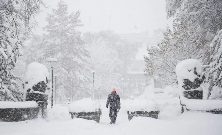 На Латвию обрушится самая мощная метель нынешней зимы с сугробами до 25 сантиметров