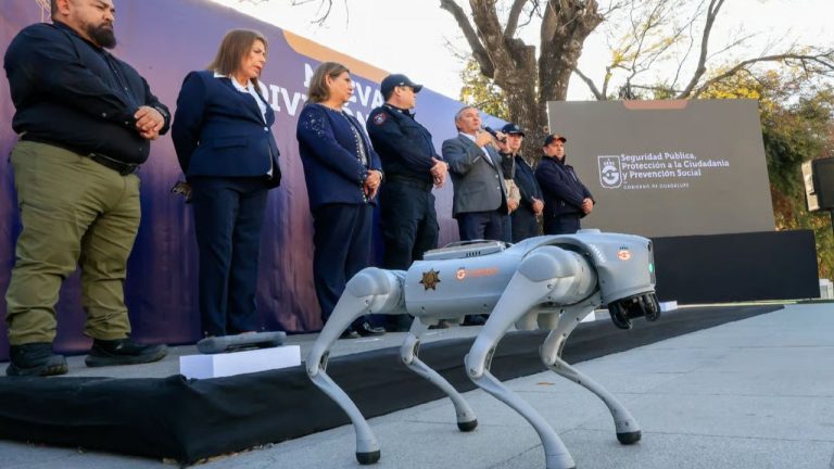 «Не лает, не кусает»: роботы-собаки будут следить за порядком во время ЧМ-2026 по футболу в Мексике