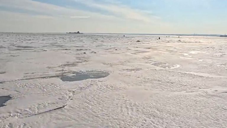 Финский залив сковало льдом: площадь покрова достигла максимума за десятилетие