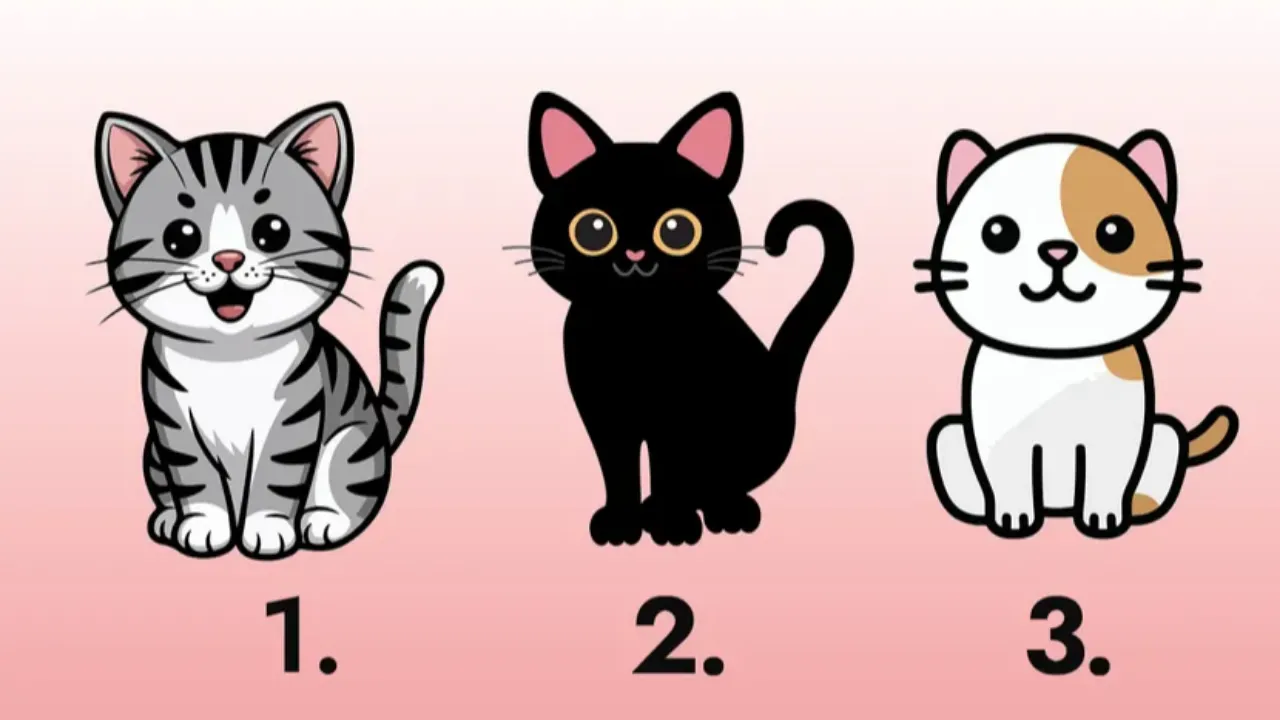 Три мультяшных кота с номерами 1, 2 и 3: серый полосатый, чёрный и бело-рыжий - визуальный тест на склонность к лжи и честности.