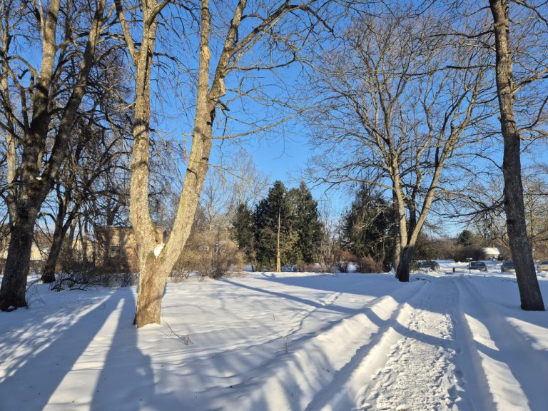 Зимняя погода в Латвии — сильный мороз и ясное небо под влиянием антициклона
