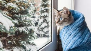 Мощные заторы и непредсказуемый ветер: как старый ледокол спасает торговый флот в море