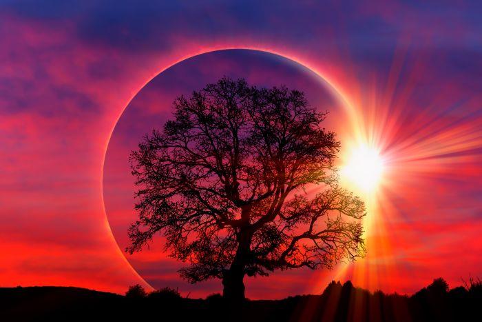 Кольцевое солнечное затмение на фоне космоса - иллюстрация к гороскопу о влиянии затмения 17 февраля 2026 на знаки Зодиака