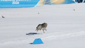 Во вторник латвийские хоккеисты сразятся со шведами за место в четвертьфинале