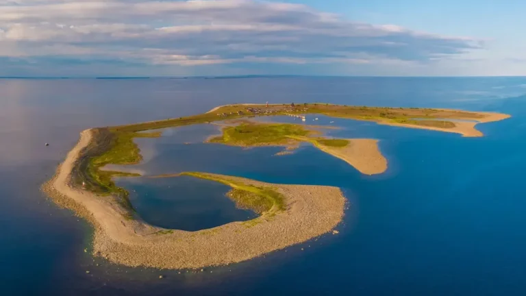 Швеция бесплатно раздает острова: как стать владельцем на год