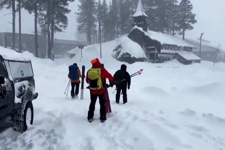 Спасатели проводят поисковую операцию после схода лавины в горах Сьерра-Невада в Калифорнии