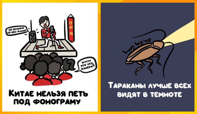 17 поразительных вещей о нашей реальности которые изменят ваш взгляд на привычное