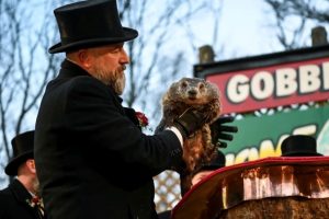 Ученые выяснили, что фиолетовый цвет - иллюзия человеческого зрения