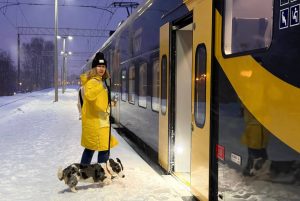 Сейм Латвии повысил возраст молодежи до 30 лет: что изменится в законах