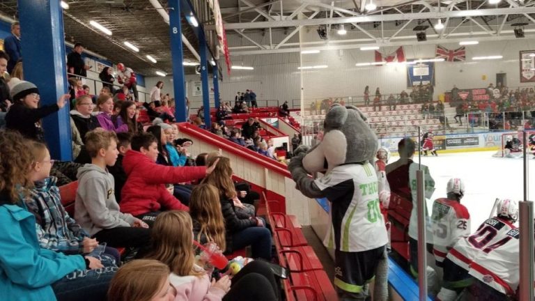 В Канаде разрешили школьникам прогуливать уроки для просмотра хоккея на Олимпиаде