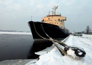 В Риге крыса спасла мужчину от гибели в пожаре