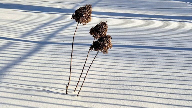 Прогноз погоды на 22 февраля: в Латвии потеплеет до +2°C, временами выглянет солнце