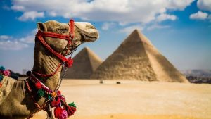 Брэда Питта впервые за долгое время засняли с девушкой Инес де Рамон