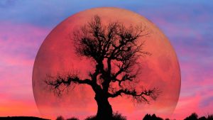 Кровавая Луна во время полного лунного затмения 3 марта 2026 года — астрологическое событие в знаке Девы