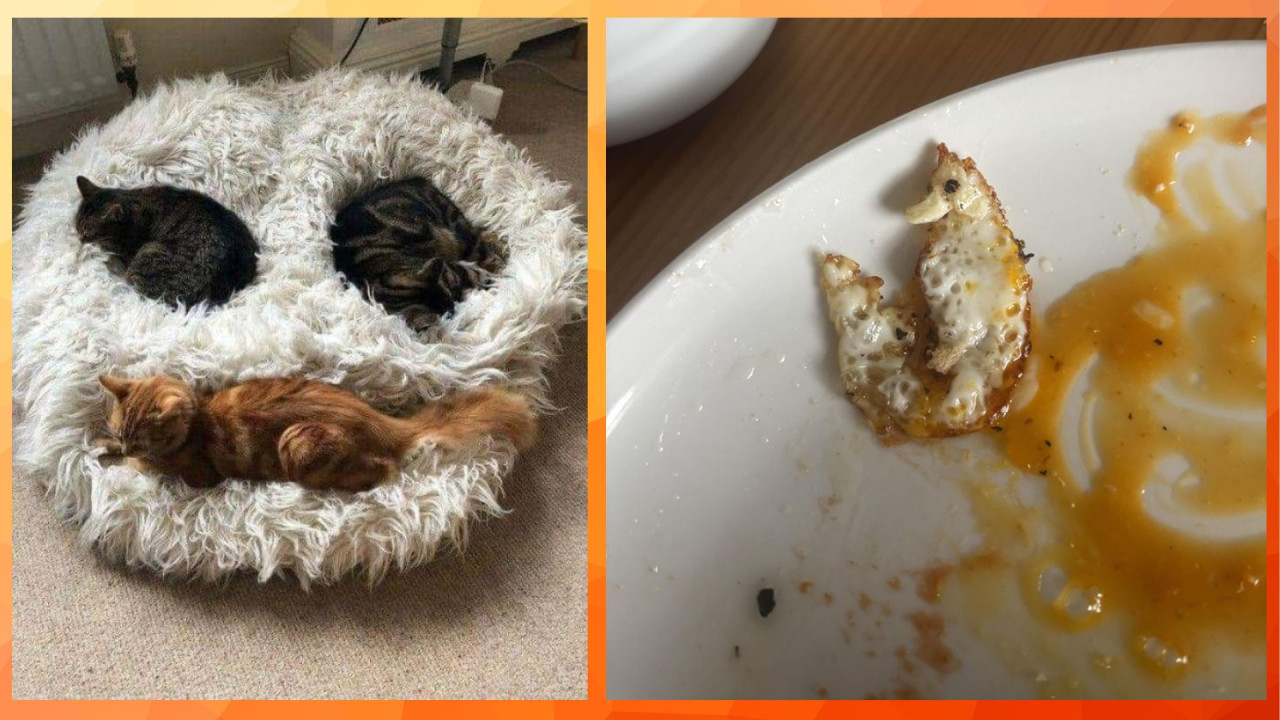 И этой ночью - суровый мороз