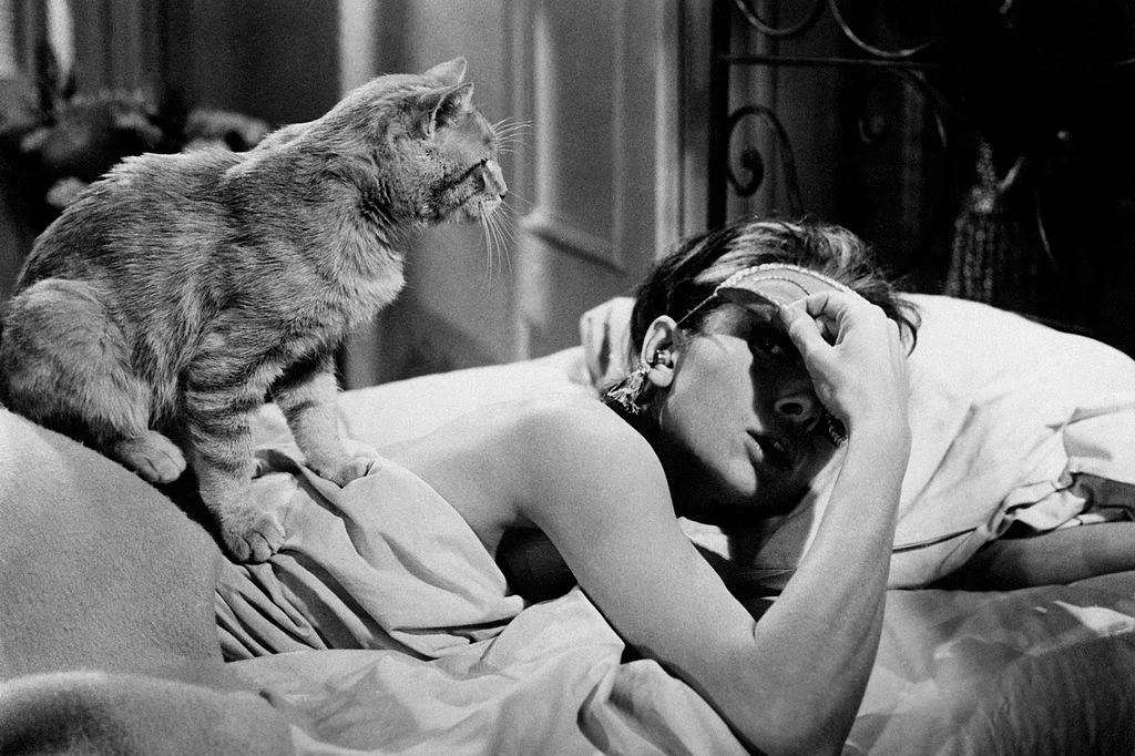 В Сигулде мать нашла раненого сына на лестнице. В больнице мужчина скончался (ВИДЕО)