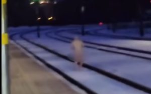 22,5% жителей подвержены риску бедности: это более 400 тысяч человек