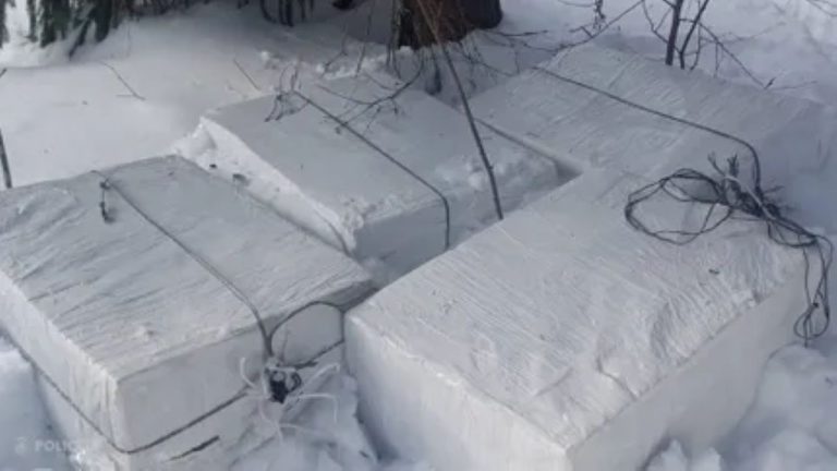 Лесная операция: в Латгалии задержаны восемь граждан Латвии и Литвы за контрабанду сигарет