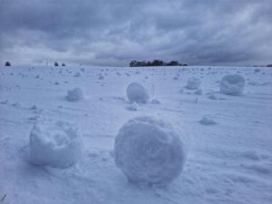 Глава общества аптекарей объяснила почему пациентам придется платить за профессиональные консультации фармацевтов