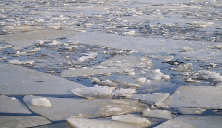 Завтра потеплеет до +6 градусов: Рига готовится к возможным наводнениям