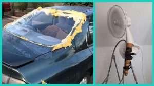 Капри, Вудсток и Голливуд: удивительные снимки XX века, которые вы могли не видеть