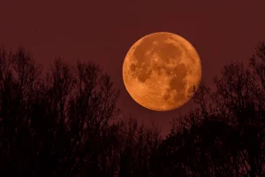 Лунный календарь стрижек на февраль 2026: когда идти к мастеру, чтобы волосы росли быстрее и сияли?