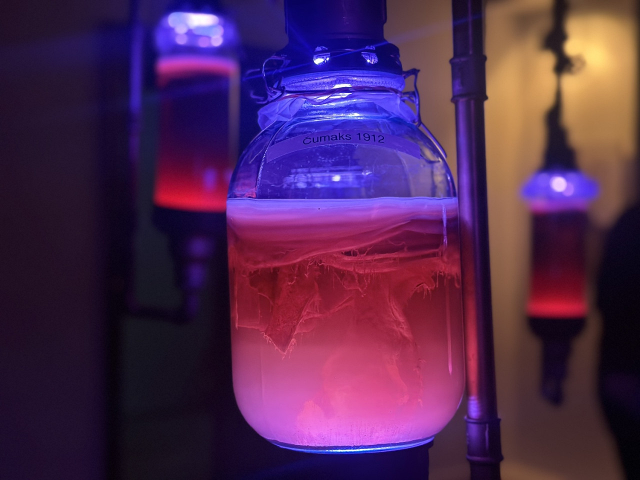 В MuseumLV бояться нечего!