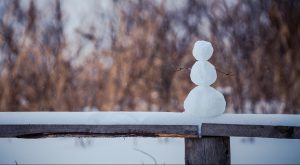 Сегодня в Латвии из-за нехватки водителей отменены 26 автобусных рейсов