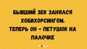 Что говорит о вас то, как вы собираете вещи в поездку? Этот тест покажет, являетесь ли вы туристом или искателем приключений.