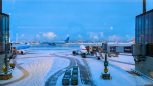 Пасынок кронпринца Норвегии предстал перед судом: обвинен по 38 пунктам в тяжких преступленияхи