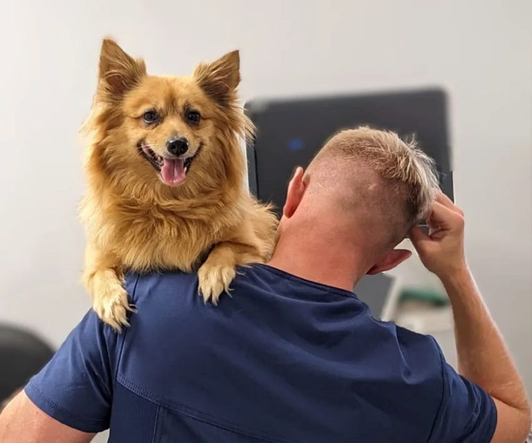 В Вильнюсе открыли первый в странах Балтии центр ветеринарной стоматологии