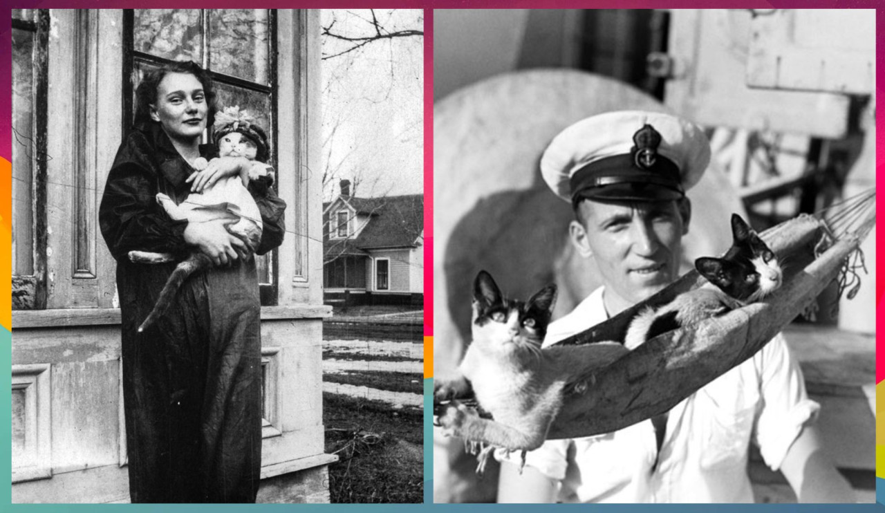 Диего Марадона госпитализирован