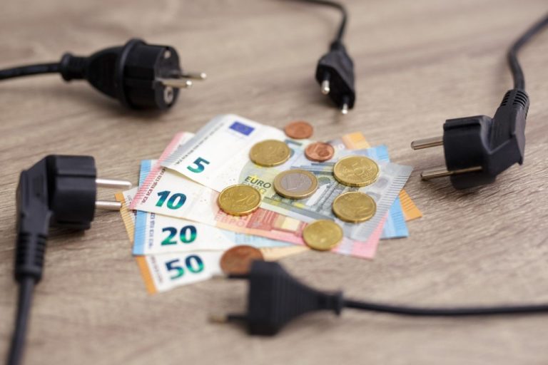 Многодетным семьям с детьми-студентами до 24-х лет предлагают оформить скидку на электричество - как это сделать