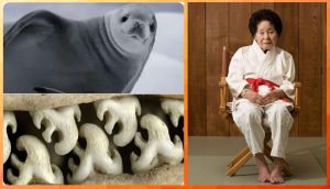 Львы, Козероги, Девы и Стрельцы в гороскопе Анжелы Перл на воскресенье 8 февраля