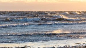 Почему даже суровые латвийские морозы не избавят наши сады от испанских слизней и клещей