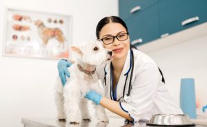 Литовский экономист Жигимантас Маурицас предсказал наступление золотого века для экономики Латвии