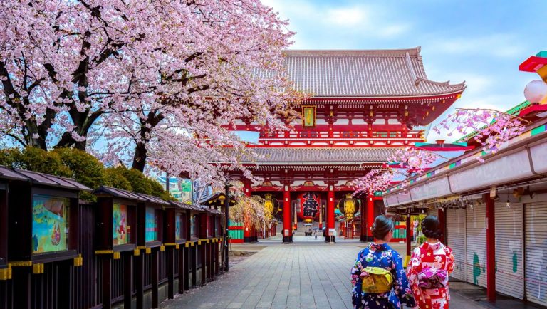 В Японии отменили знаменитый фестиваль сакуры у подножия Фудзи: в чем причина