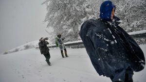 Праздник корюшки в Паланге: «Орден корюшки» и чемпионат Балтии по рыбному барбекю
