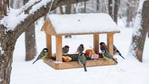 Сейм Латвии обязал чиновников отвечать на заявления жителей в два раза быстрее