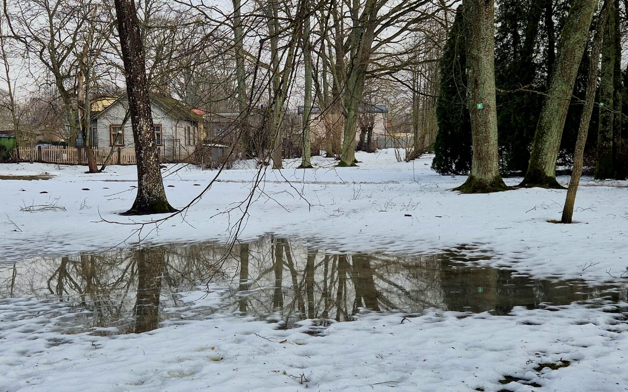 Весна близко? Синоптики рассказали, когда в Латвии потеплеет до +10°C