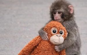 Ближний Восток на грани новой эскалации: ракеты Ирана перехватывают над Турцией и странами Персидского залива, нефть превысила $100