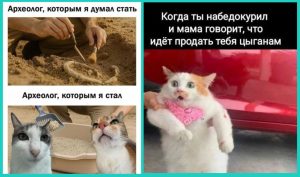 Тельцы, Водолеи, Скорпионы и Девы в гороскопе Анжелы Перл на среду 11 марта