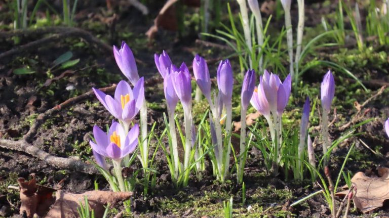 В среду будет тепло и облачно, местами пройдет небольшой дождь