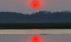 Женщине, стрелявшей по дому Рианны в Беверли-Хиллз, грозит пожизненное заключение