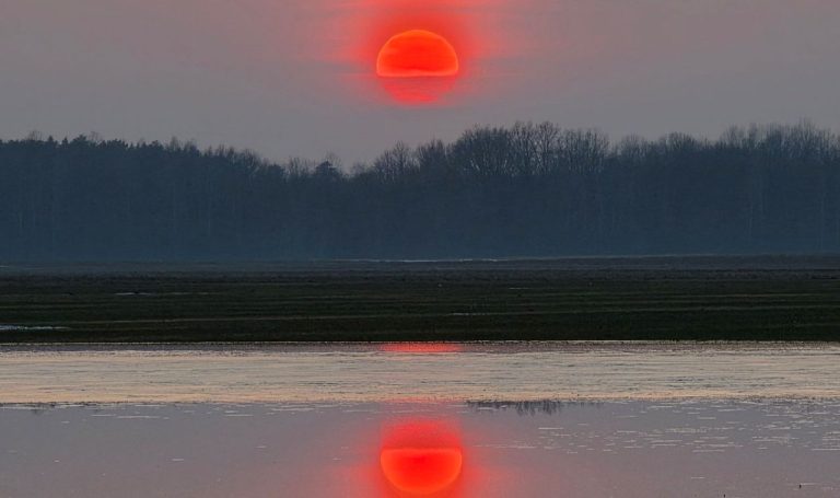 В Литве зафиксировано впечатляющее явление: пыль из Сахары окрасила небо и солнце